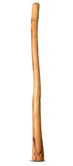 Medium Size Natural Finish Didgeridoo (TW448)